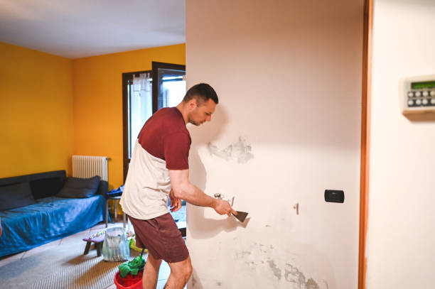 Best Commercial Mold Remediation in Exeter, CA